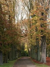 B-Herbststimmung 052.jpg